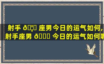 射手 🦉 座男今日的运气如何,射手座男 🐋 今日的运气如何呢